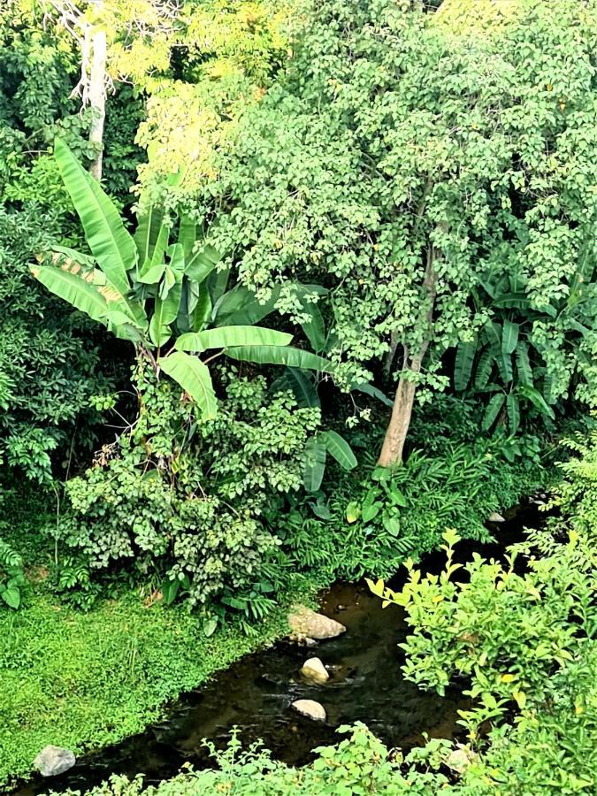 Holiday Cottage By The River, Arusha Eksteriør bilde