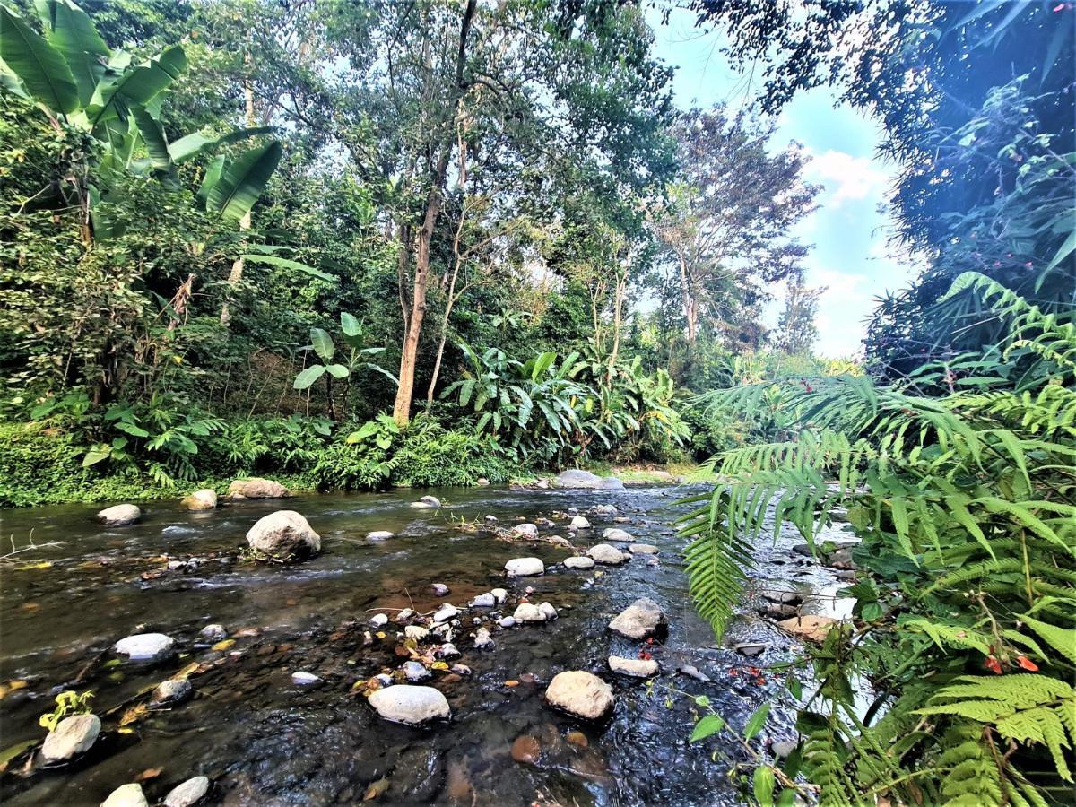 Holiday Cottage By The River, Arusha Eksteriør bilde